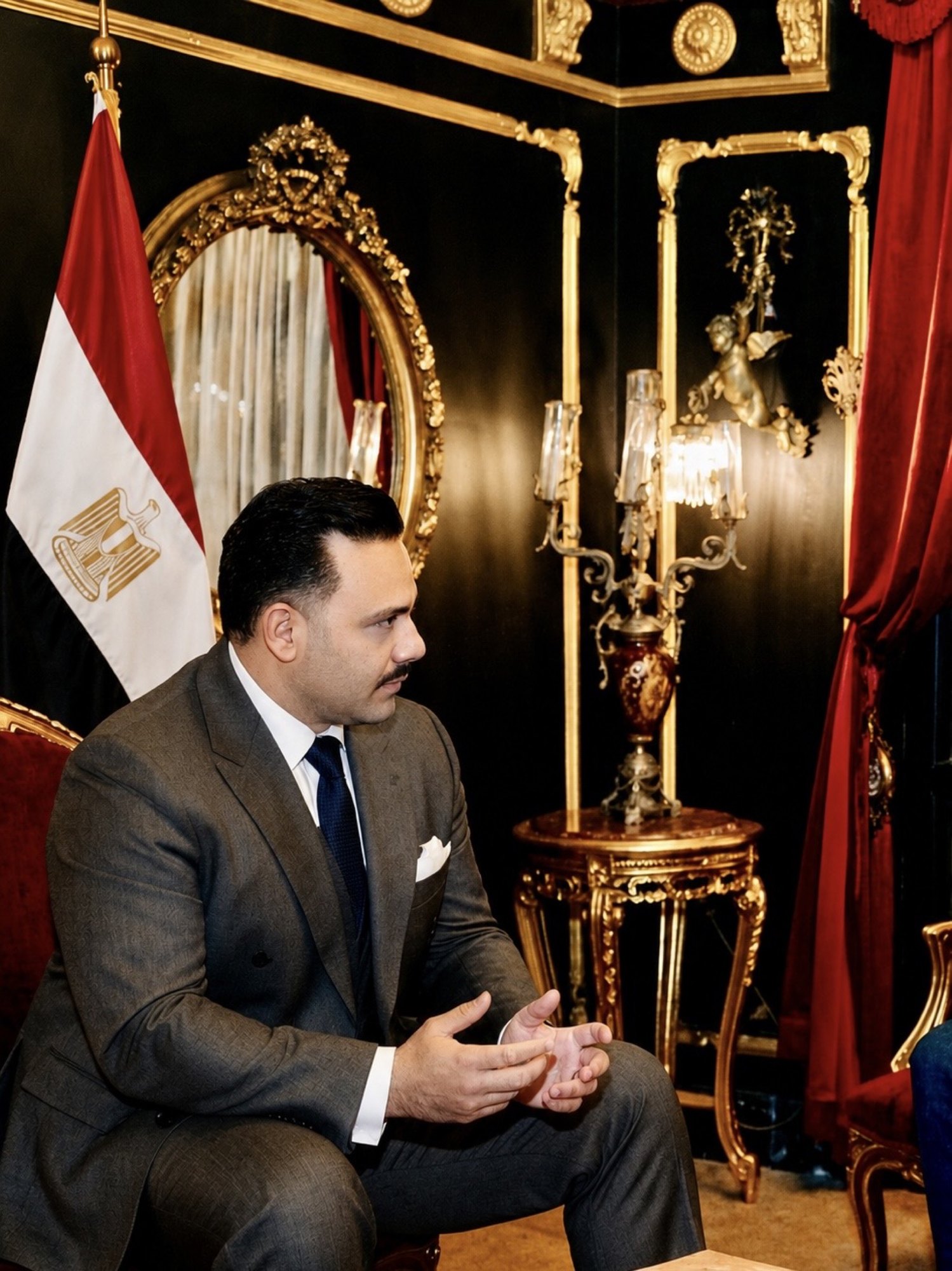 Mahmoud Elkady participating in a formal institutional dialogue in Egypt